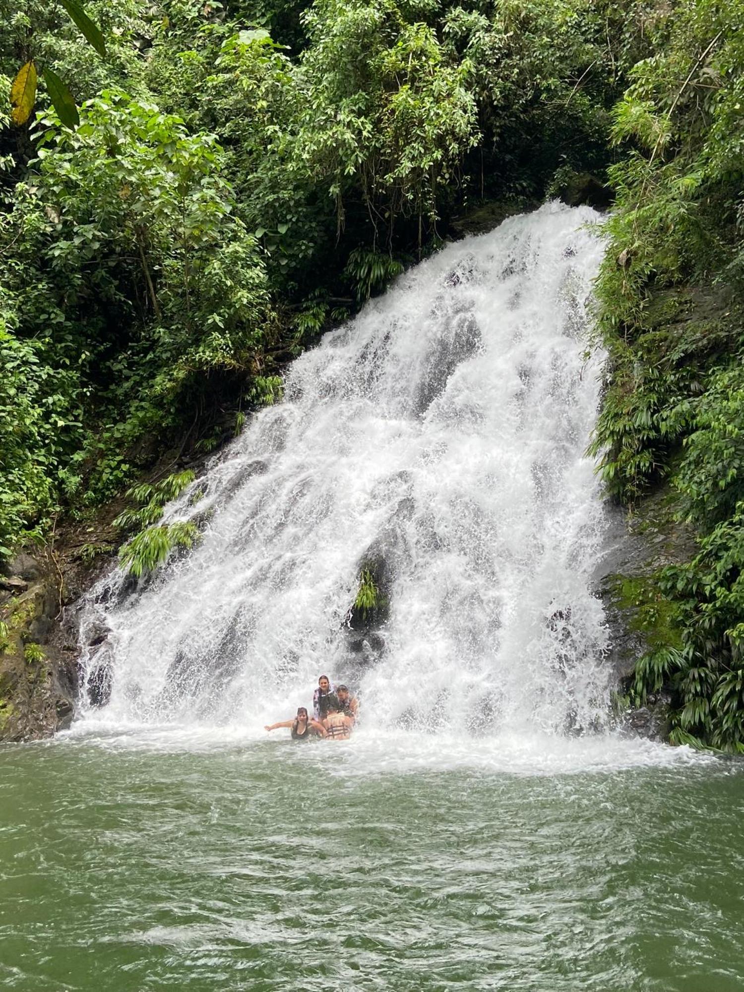 Ecohotel Campo Alegre Norcasia Caldas Eksteriør billede